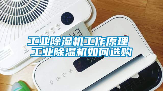 工业除湿机工作原理 工业除湿机如何选购