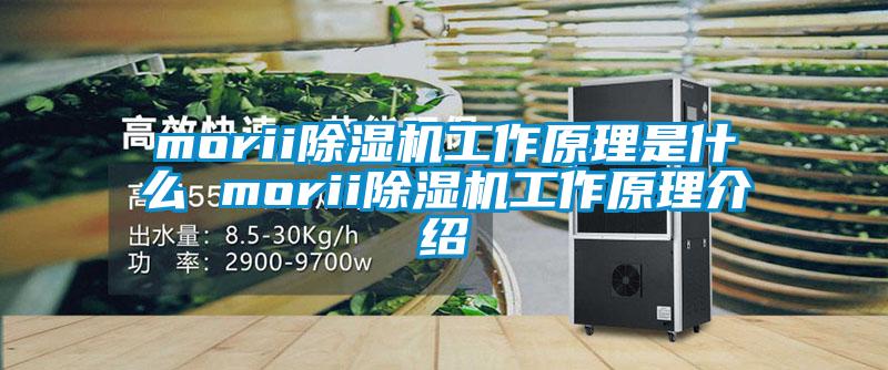 morii除湿机工作原理是什么 morii除湿机工作原理介绍