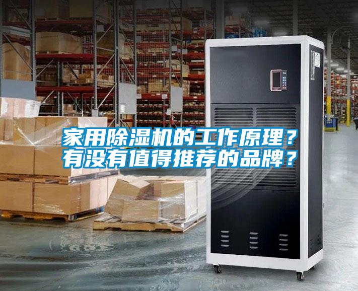 家用除湿机的工作原理？有没有值得推荐的品牌？