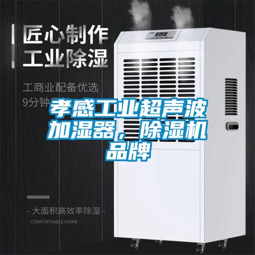 孝感工业超声波加湿器，除湿机品牌