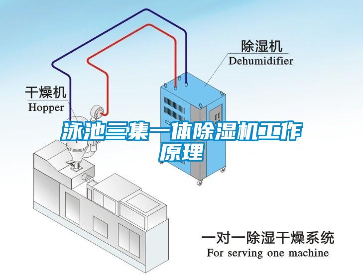 泳池三集一体除湿机工作原理