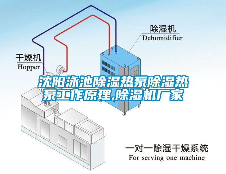 沈阳泳池除湿热泵除湿热泵工作原理,除湿机厂家